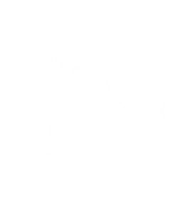 3D тур центральный Крым